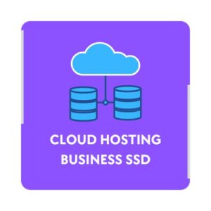 Cloud Hosting Business SSD