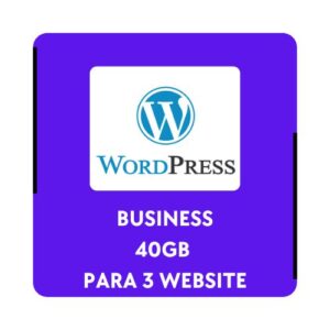 Hosting WordPress Business 40GB