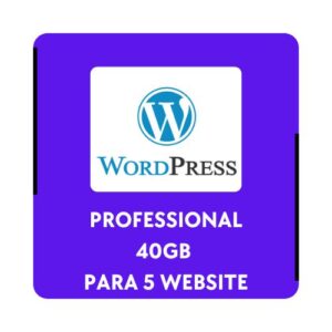 Hosting WordPress Professional 40GB