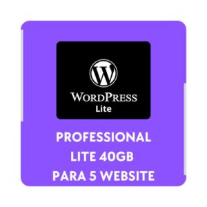 Hosting WordPress Professional Lite 40GB